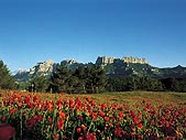 De Montserrat al Montseny