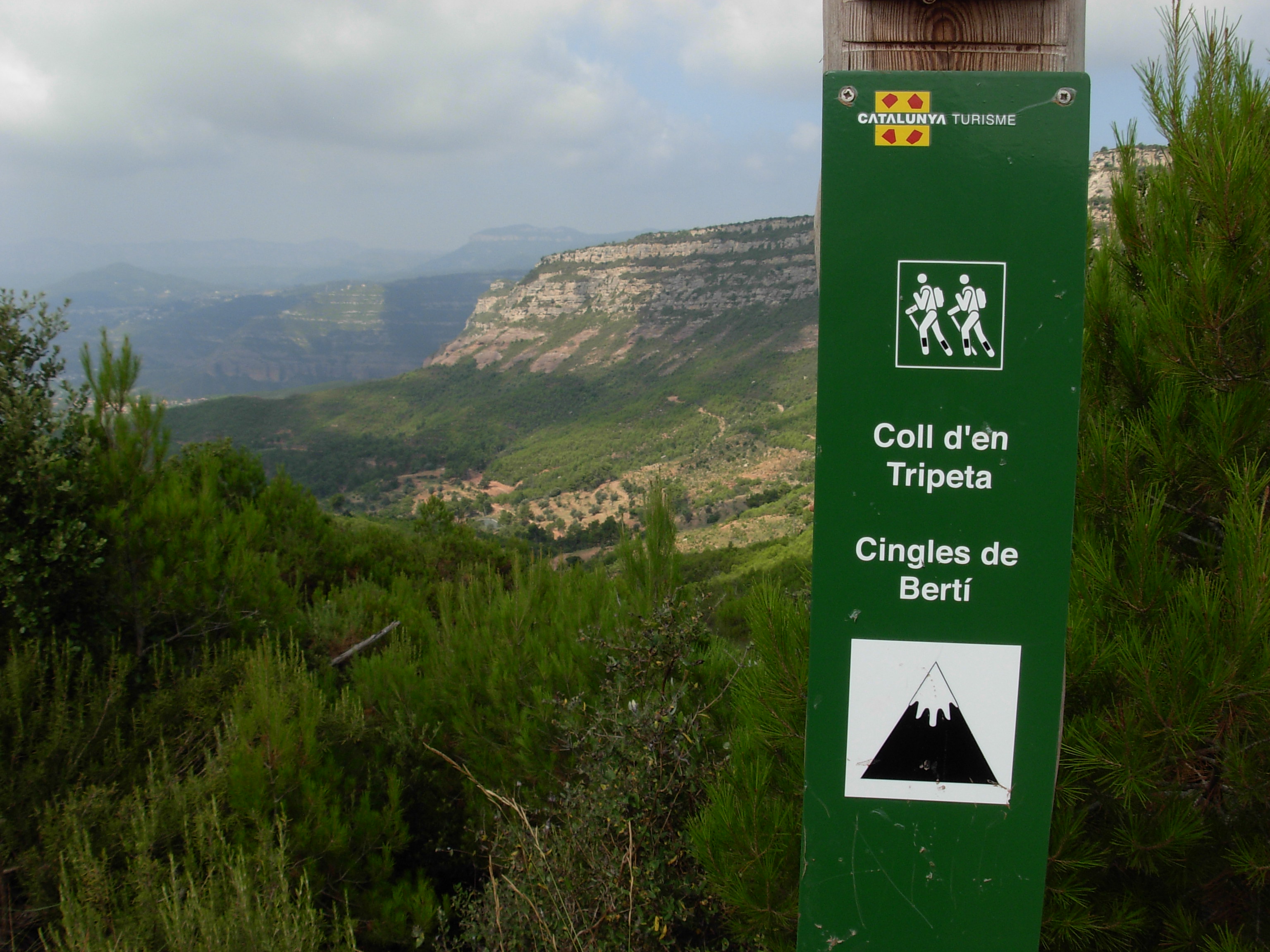 Coll d'en Tripeta, Cingles de Bertí